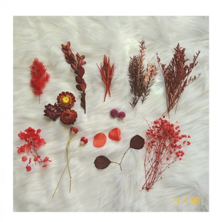 Set Hoa Khô tự Nhiên Mix Nhiều Loại Decor, Handmade, Resin, Thiệp Hoa, Nến Thơm