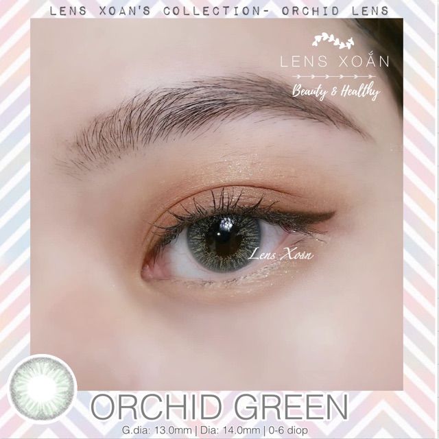 ÁP TRÒNG ORCHID GREEN | LENS XOẮN | LENS XANH LÁ TRONG SÁNG NHẸ