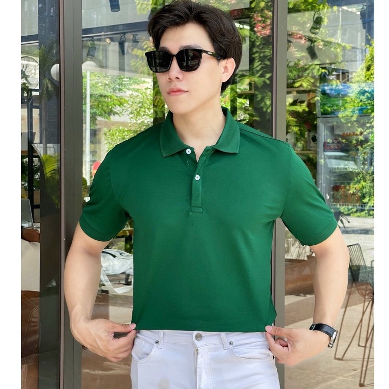 Áo polo nam trơn  cổ bẻ 5 màu vải cá sấu Cotton xuất xịn,chuẩn form, sang trọng - thanh lịch TB010