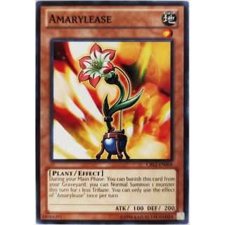 Amarylease |EN| Common
