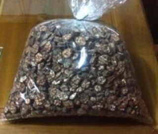Chuối hột rừng tươi -