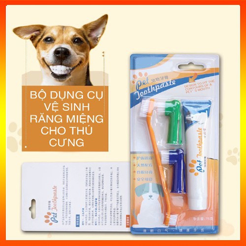 [Mã PET50K giảm Giảm 10% - Tối đa 50K đơn từ 250K] Bộ đánh răng - bàn chải đánh răng chó mèo - vệ sinh răng chó mèo