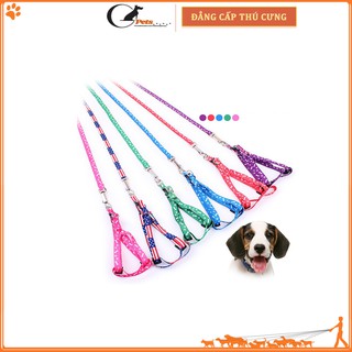[HCM] Dây dắt chó đi dạo và đai yếm đeo ngực