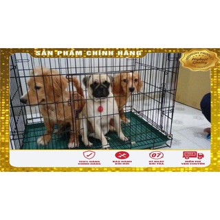 LỒNG SẮT SƠN TĨNH ĐIỆN SIZE NHỎ