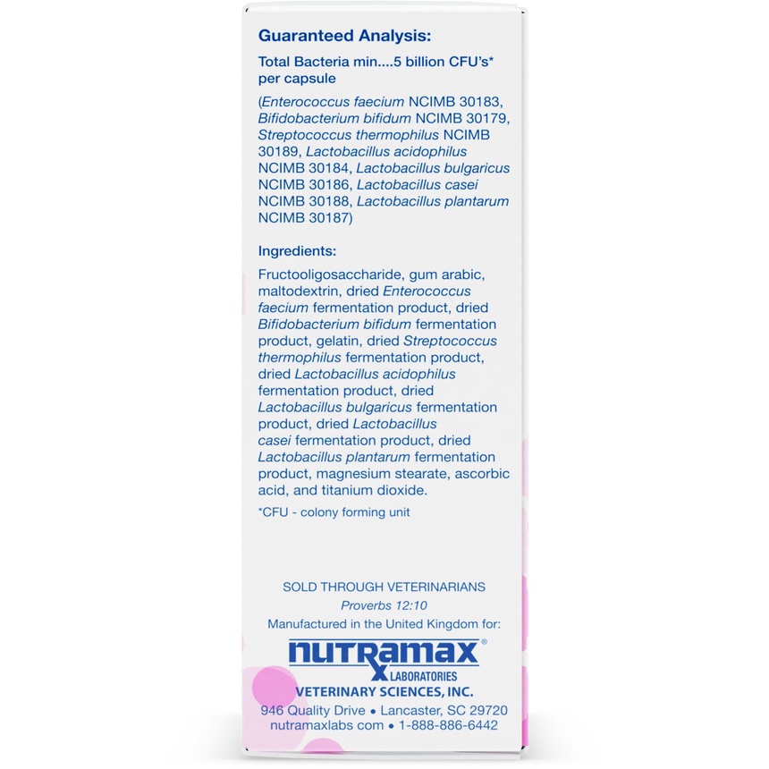 Men tiêu hoá cho chó mèo Nutramax Proviable