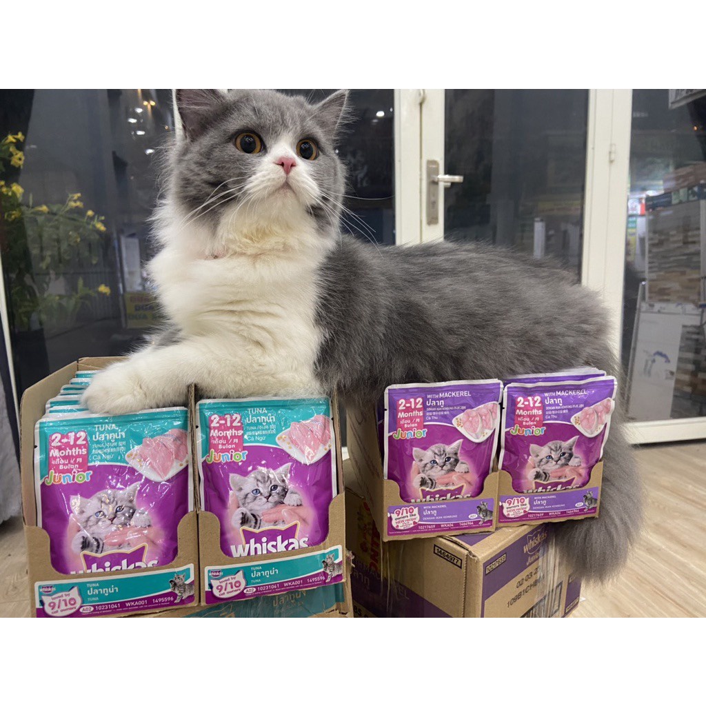 THỨC ĂN ƯỚT CHO MÈO PATE WHISKAS NHIỀU VỊ GÓI 85GR - BONDMILO SHOP