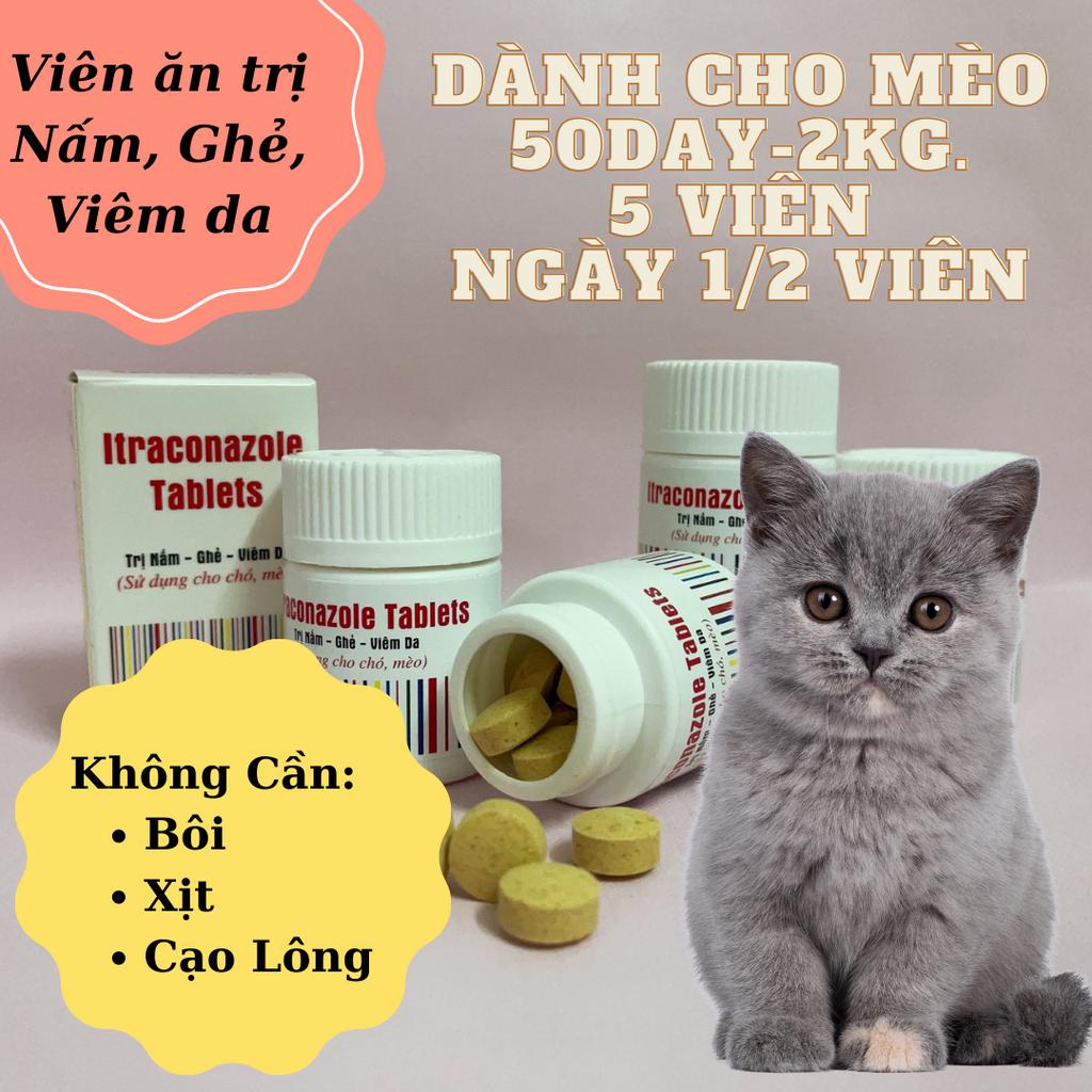Viên ăn nấm, ghẻ, viêm da cho mèo 50day-2kg