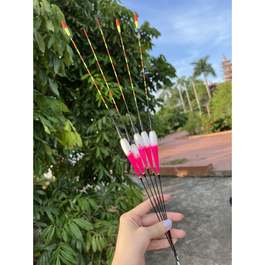 Phao Câu Đài Đổi Màu Thông Minh Phong Cảnh _ Phao Câu Cá