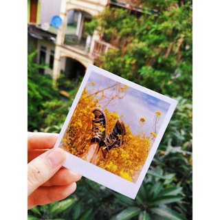Combo In 50 ảnh 6x9cm