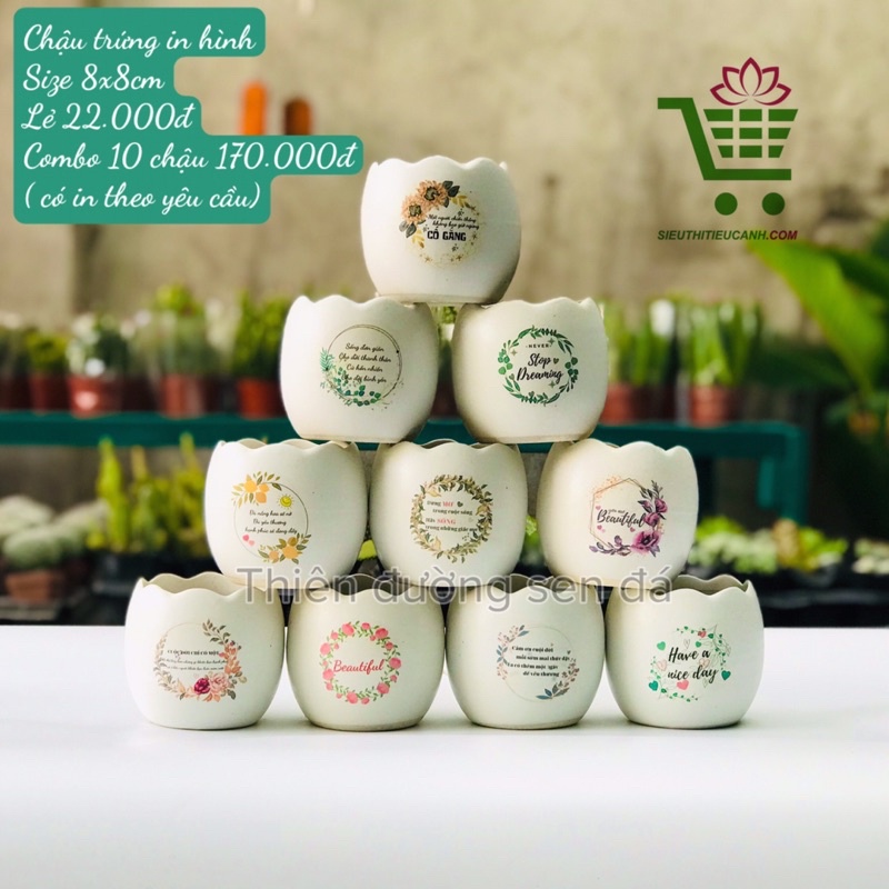 CHẬU SỨ CAO CẤP IN HÌNH DỄ THƯƠNG, THEO YÊU CẦU TRỐNG SEN ĐÁ, XƯƠNG RỒNG