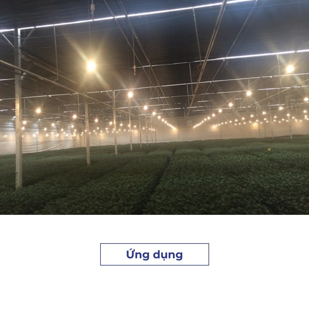 Đèn quang hợp cho cây trồng trong nhà  - LED công suất 6W đủ phổ thay ánh sáng mặt trời