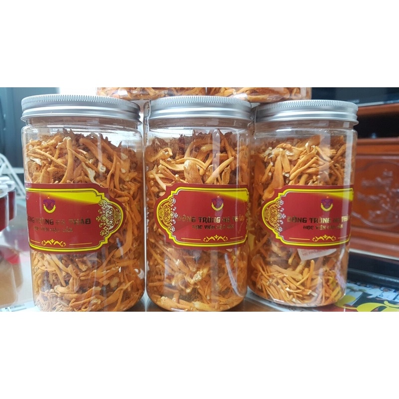 [Lọ 50g] Đông Trùng Hạ Thảo Học Viện Hậu Cần sấy thăng hoa cao cấp