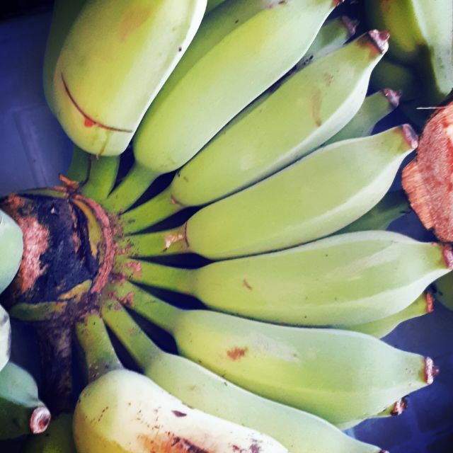 Chuoi sim nhà trồng không thuốc nha.20k /1kg .