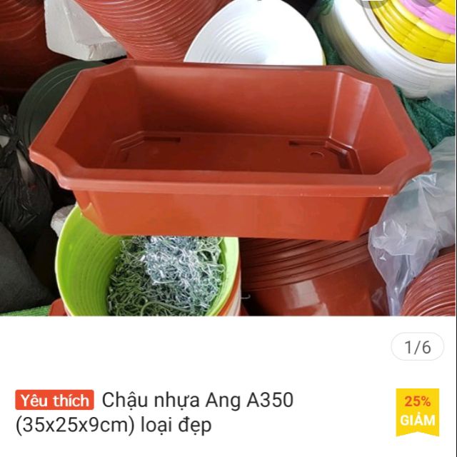 COMBO 10 Chậu nhựa Ang A350 (35x25x9cm) chuyên trồng rau, hoa tiểu cảnh, cây bonsai (Ang350 nông)
