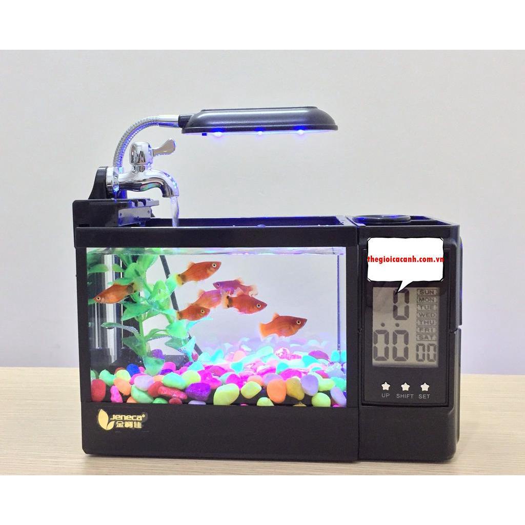 Bể Cá Mini Kèm Đồng Hồ Để Bàn Siêu Dễ Thương Jeneca TG-03