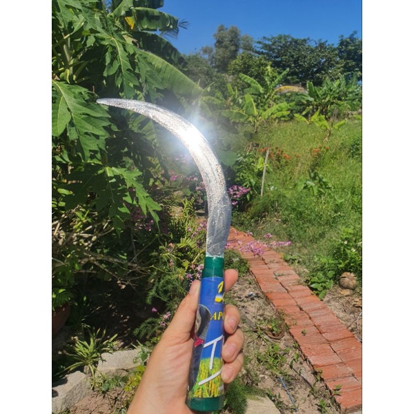 LIỀM APOLEX