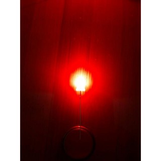 led đỏ đục 5mm