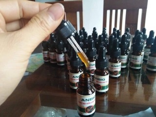 Diệt gián kiến sinh học Anbio