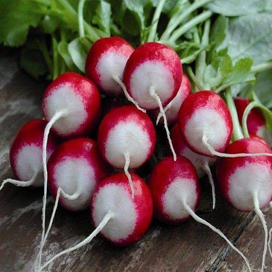 HẠT GIỐNG CỦ CẢI ĐỎ 2 MÀU CHERRY F1