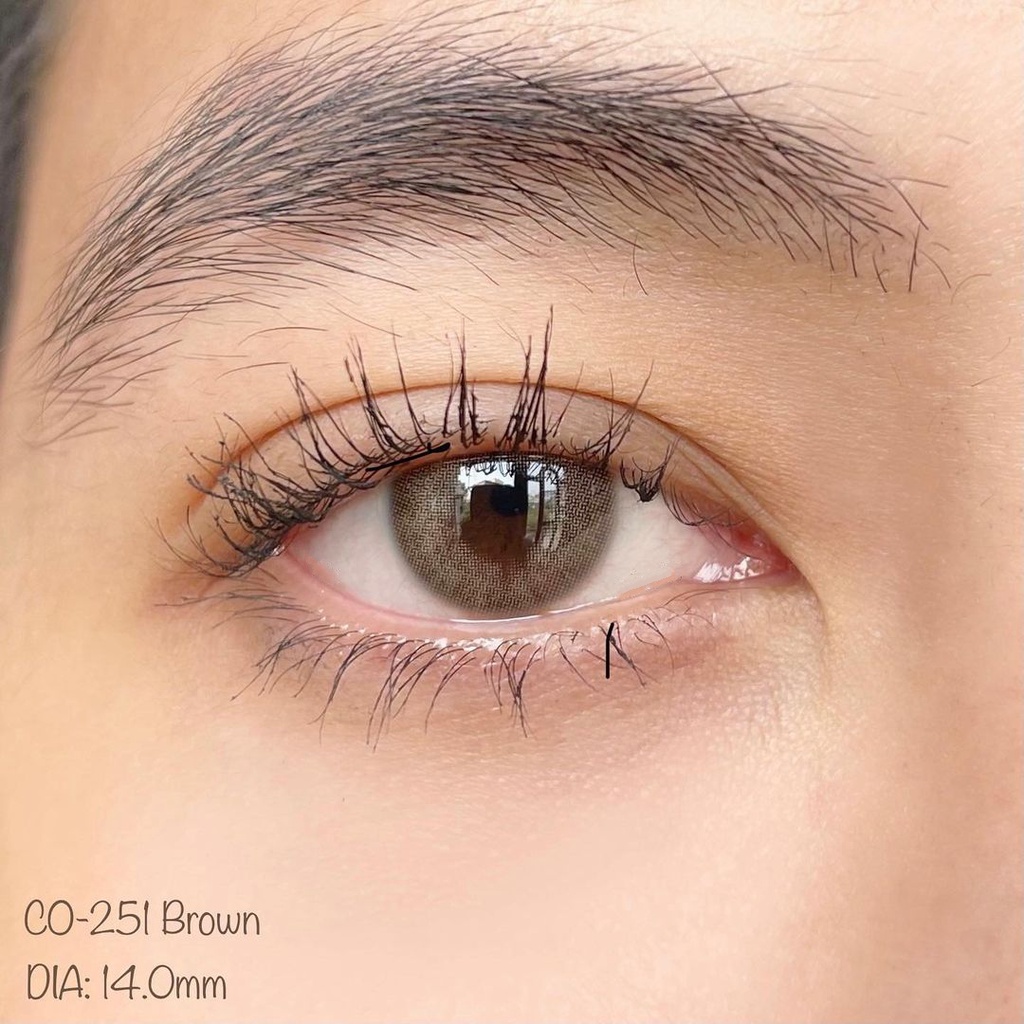 [ Ảnh Thật ] Lens Nâu Tây Sáng Nổi Bật Co251 Brown 14mm 0 Độ - Kính Áp Tròng Hàn Quốc Vassen Sexy Me