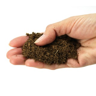 Đất Peatmoss 1 Kg (Peatman)