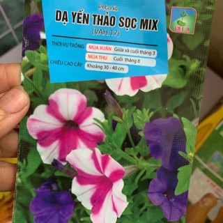 Hạt giống dạ yến thảo các loại : mix, sọc, rủ, dạ Yến thảo kép