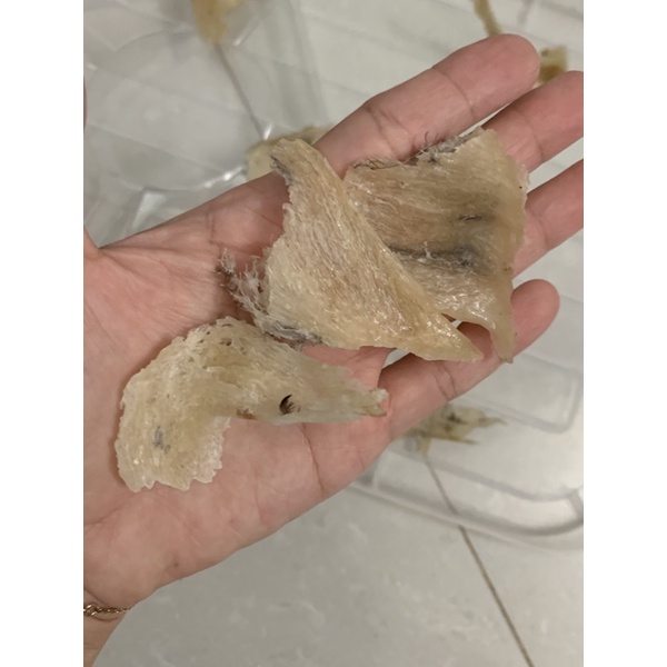 Yến sào nha trang_ yến chân thô loại già nguyên chất