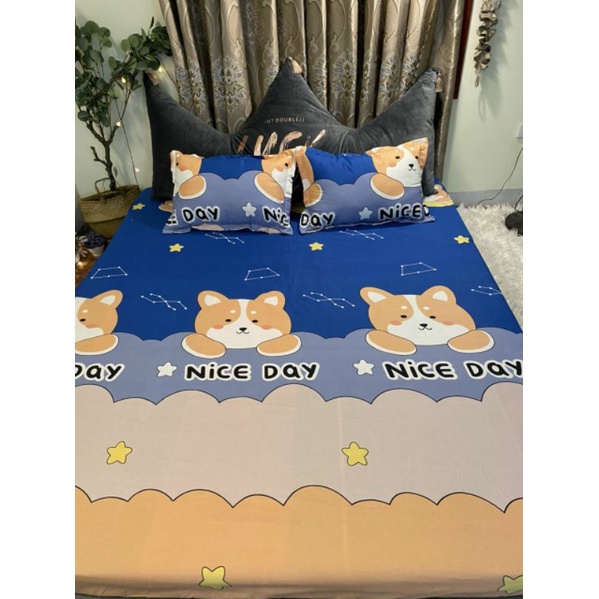 Bộ ga gối 💖m6/m8💖 drap giường poly, ga trải giường + 2 vỏ gối nằm đơn giản Bedding