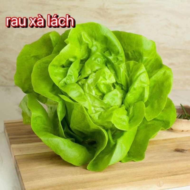 1k-HẠT GIỐNG XÀ LÁCH ( 50 hạt)