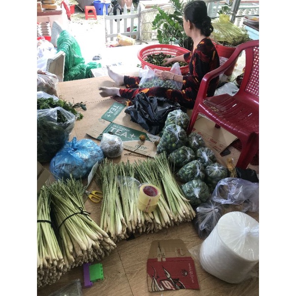 1kg tắc (quất) tươi