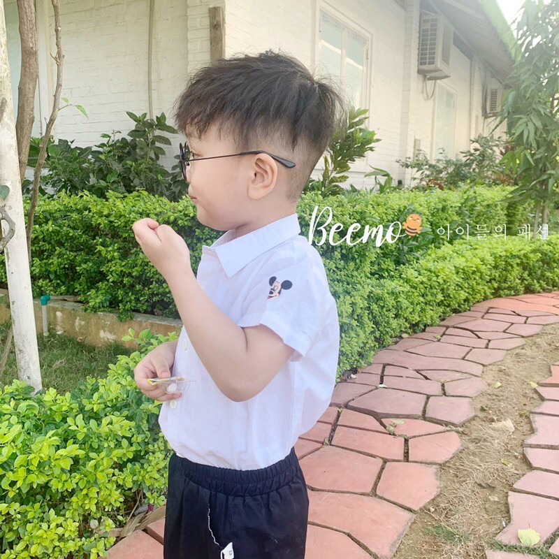 [CHUẨN HÀNG XUẤT] Áo sơ mi Bernie cotton siêu mềm mịn cho bé