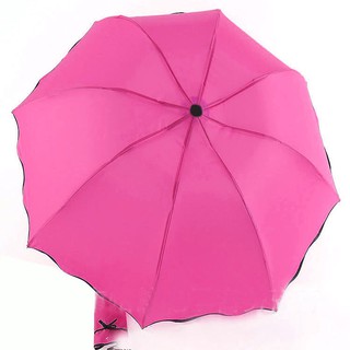 Ô đi mưa nở hoa
