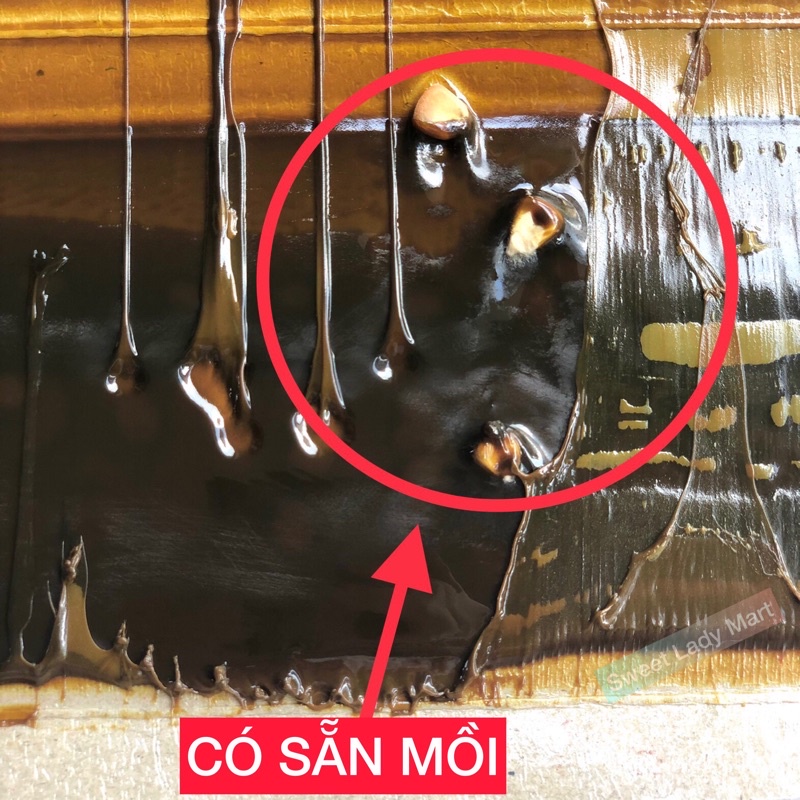Keo Dính Chuột Siêu Dính Chính Hãng Có Sẵn Mồi