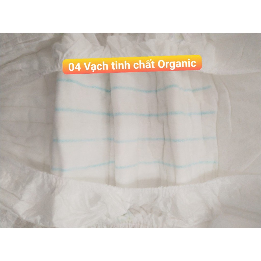 (có quà) Bỉm Dán/Quần Babies Organic tinh chất lô hội an toàn cho bé S66/M56/L46/M54/L50/XL46/XXL40