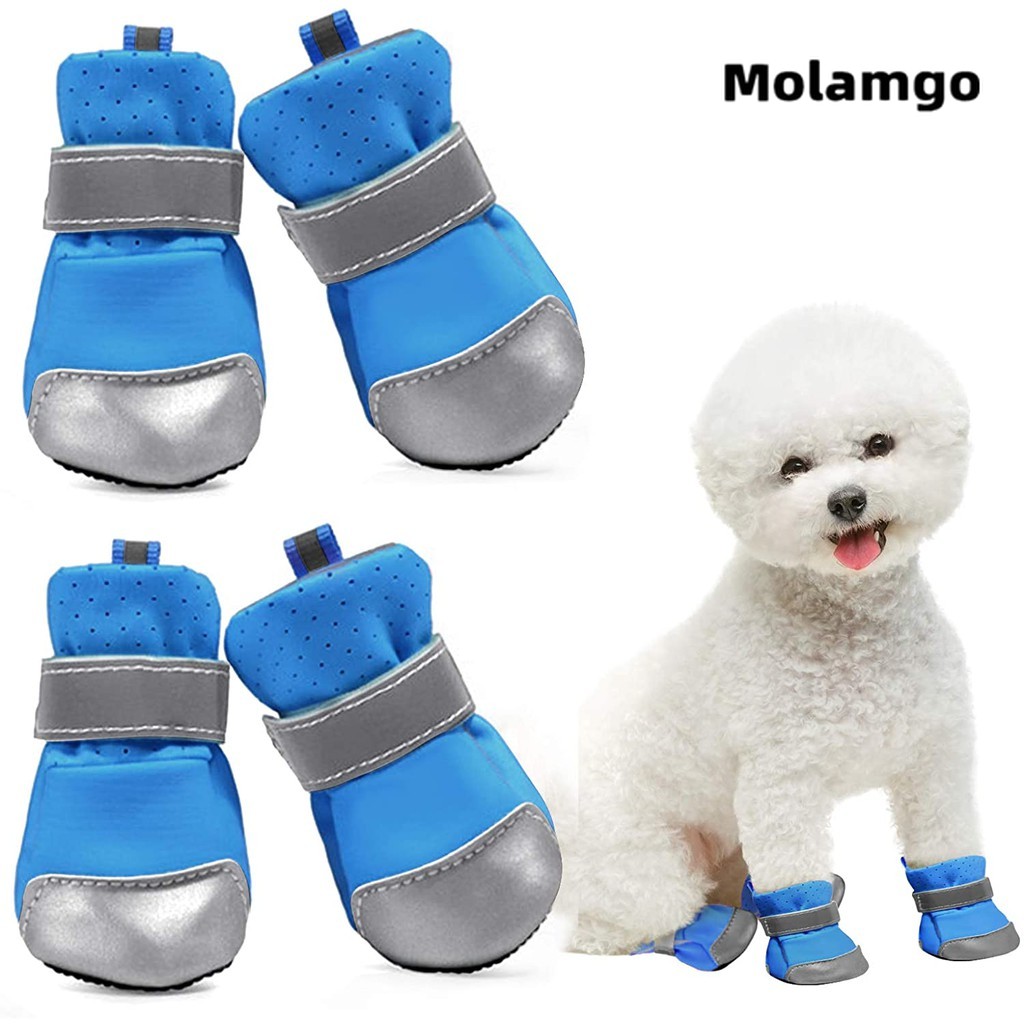 Giày Thể Thao Đế Mềm Thoáng Khí Họa Tiết Gấu Teddy Phản Quang Dễ Thương