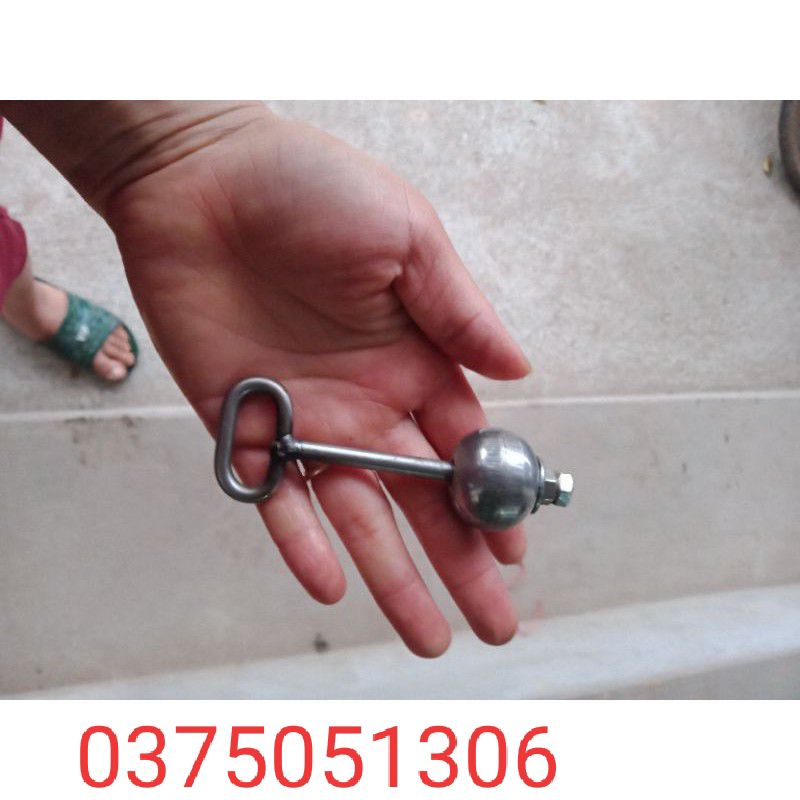 Sỏ sẹo trâu, bò sữa