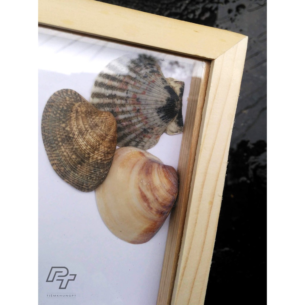 Khung ảnh A4 21x30 Hộp B1 - Khung hình gỗ thông mặt kính handmade - Picture Frames Tiệm Khung PT