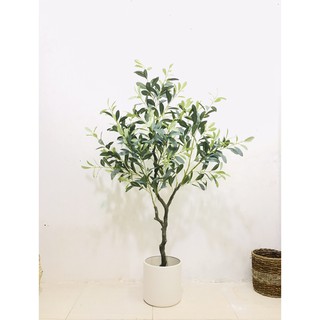 Cây giả - cây lá bạc cây ô liu bạc 130cm - Hằng decor