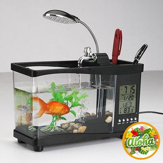 Bể cá mini để bàn làm việc full 7 món cao cấp