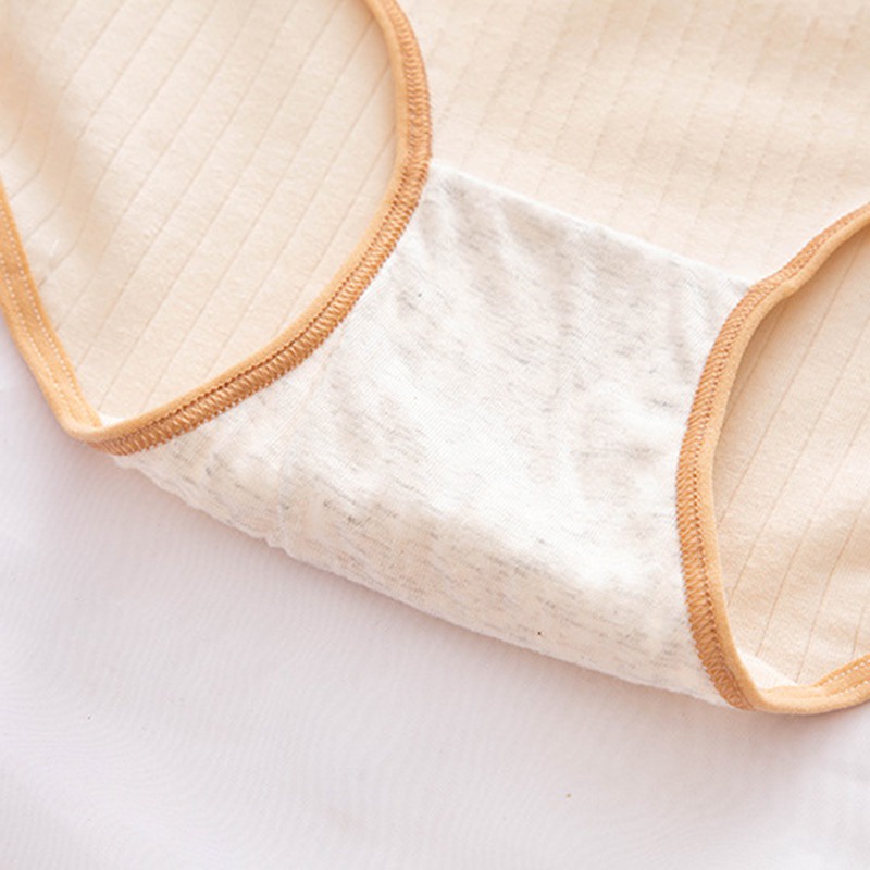 Quần Lót Cotton Lưng Vừa Màu Sắc Xinh Xắn Cho Nữ