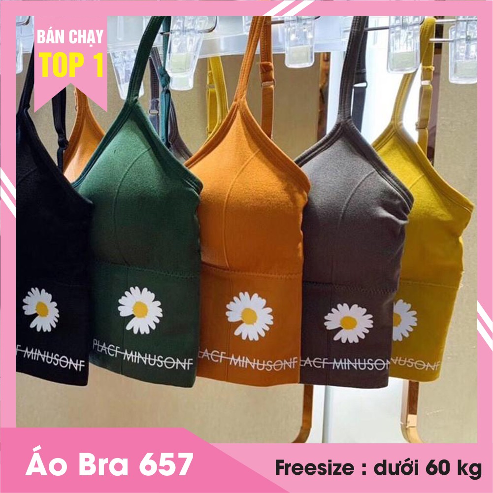 Áo bra nữ hình hoa cúc hàng Quảng Châu loại 1