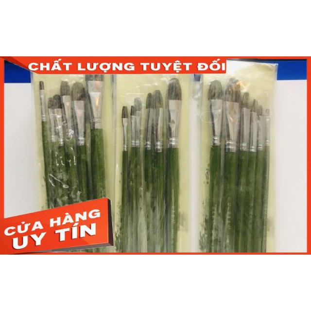 BỘ CỌ LÔNG CHỒN cao cấp 6 CÂY xanh lá