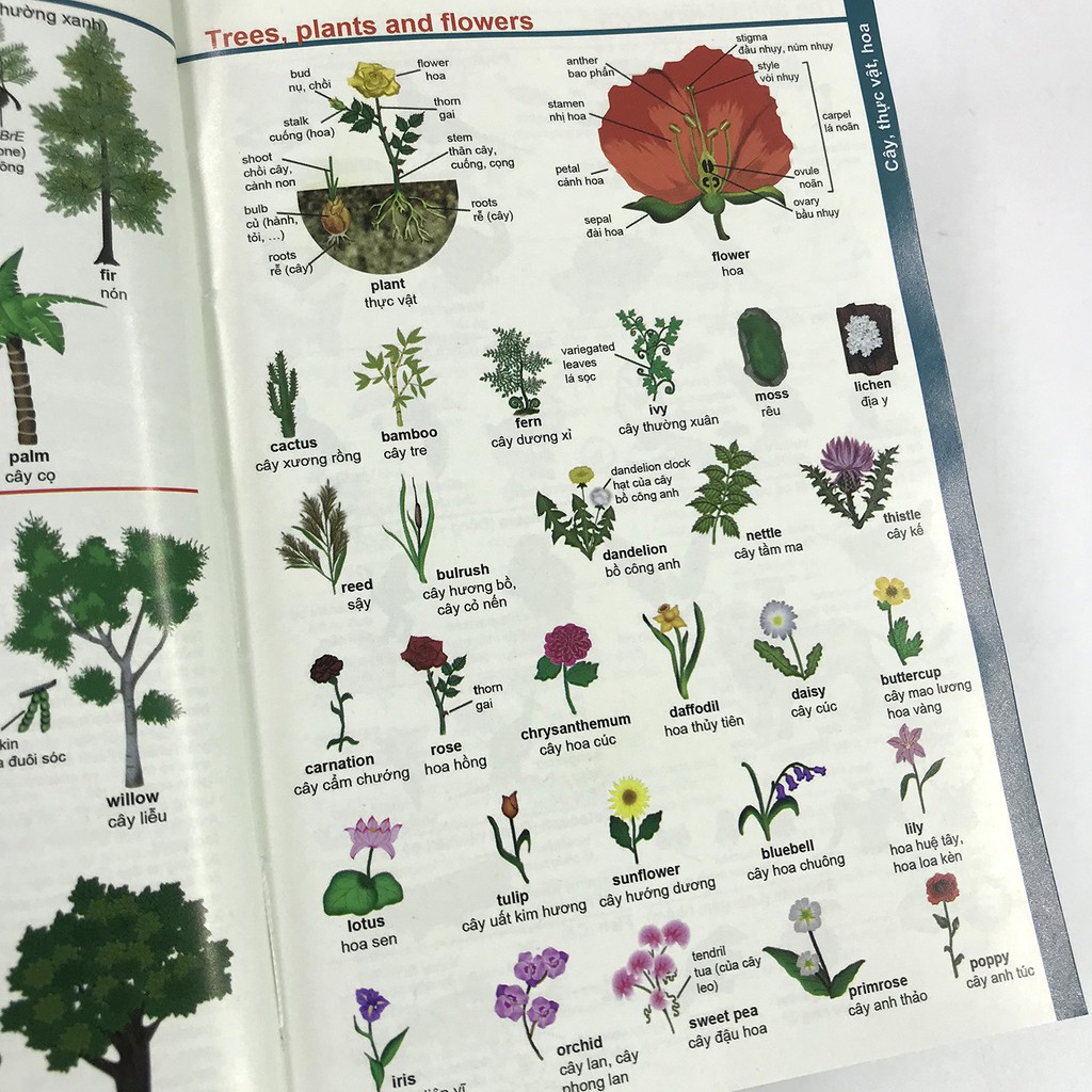 [MÃ giảm 40K][Mã BMLT35 giảm đến 35K] Sách - Từ điển Anh - Việt (bìa trắng mềm) - MC-TDIEN-198k-8935246917954