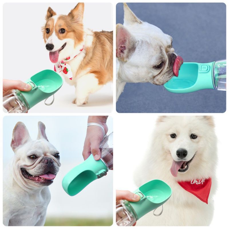 Bình nước di động cho thú cưng – Dụng cụ uống nước cầm tay du lịch tiện dụng cho chó mèo 350ml