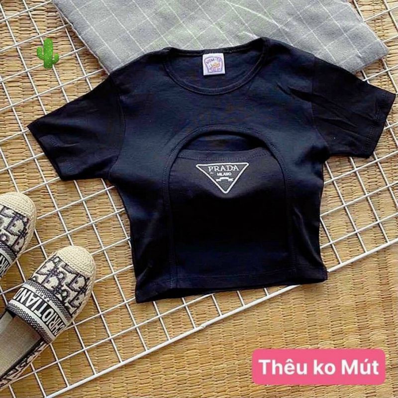 🅰️Áo thun nữ tay ngắn kiểu áo croptop cổ tròn trơn, logo thêu , chất vải thun gân cho nàng <50kg