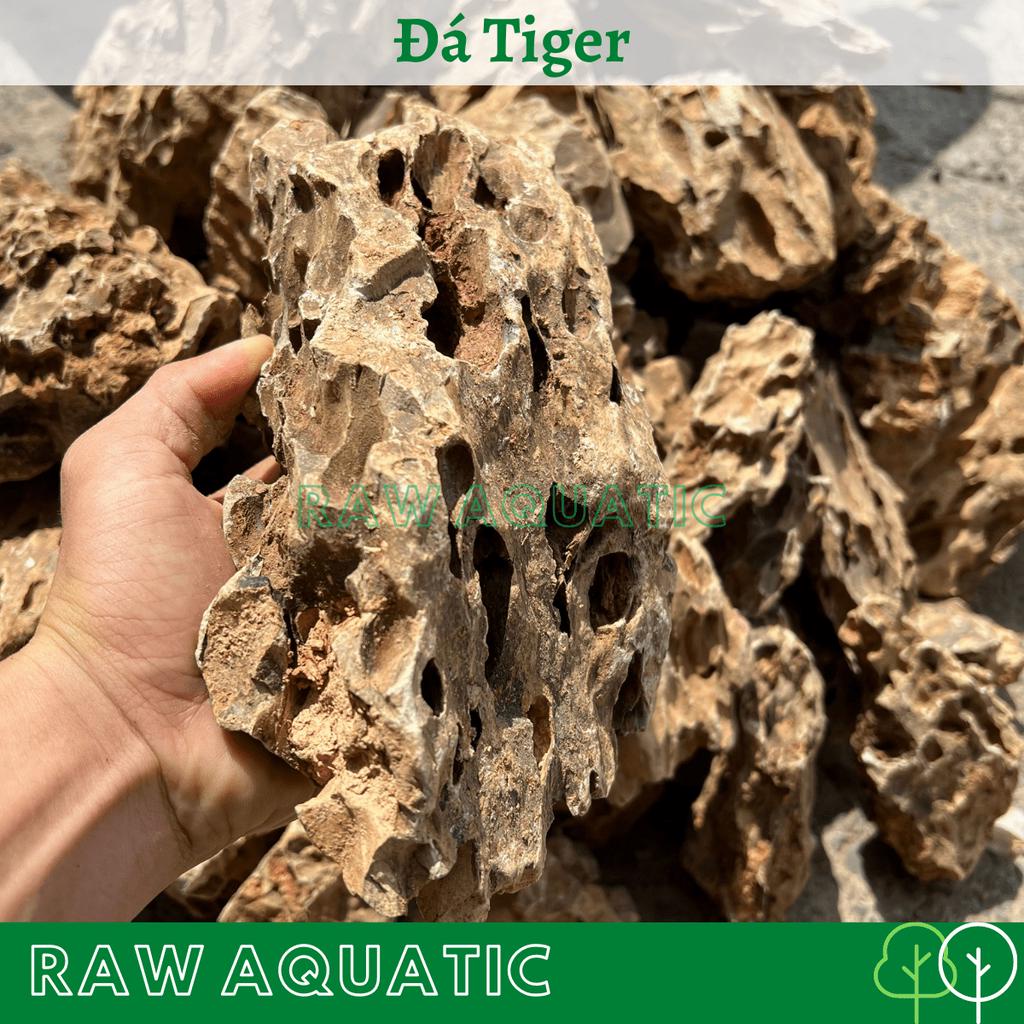 Đá Tiger Trang Trí, Setup Bể Cá Cảnh, Bể Thủy Sinh