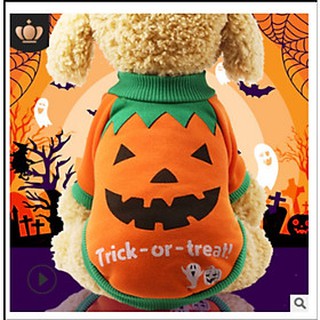 Quần áo Halloween cho Chó Mèo
