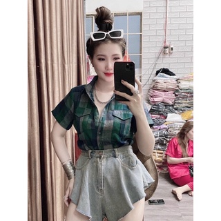 SƠMI CARO 3 MÀU