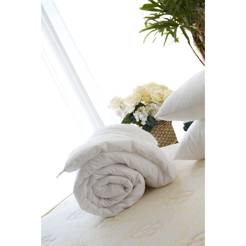 Ruột chăn chần gòn Edena 200x220cm, Cao Cấp - Chính Hãng in MayBedding