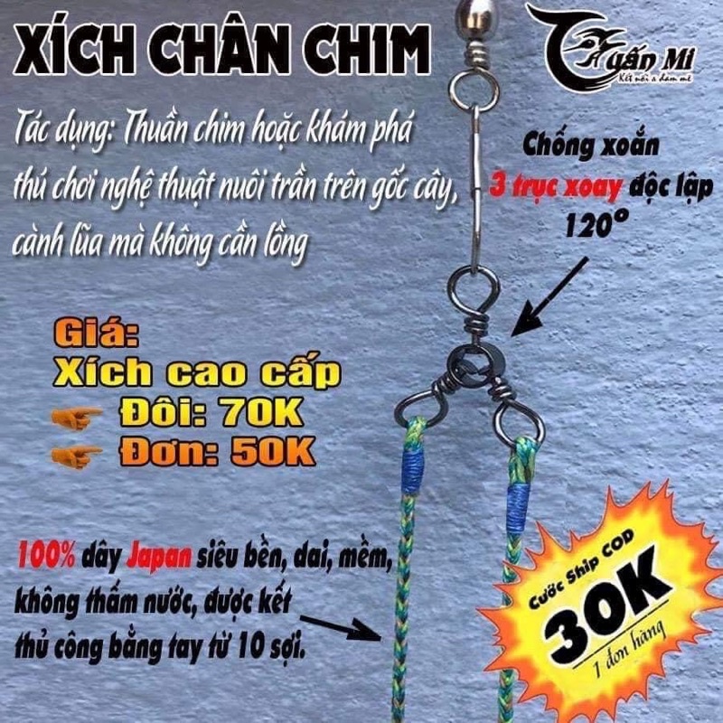 XÍCH CHÂN CHIM HOẠ MI  TUẤN MI